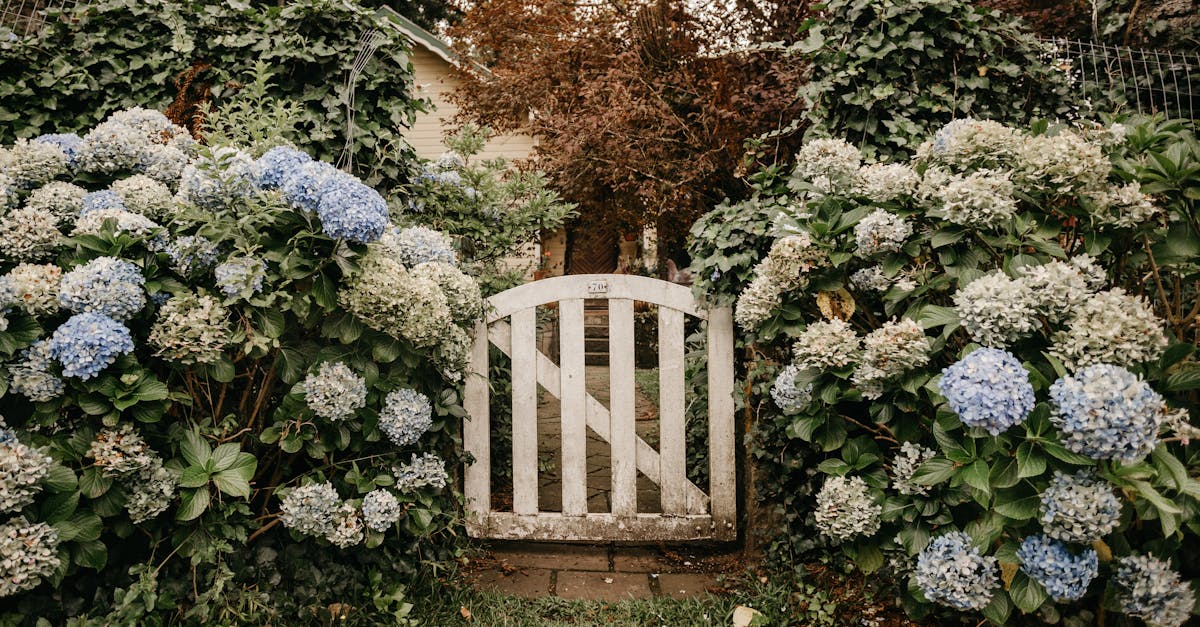 découvrez les plus belles variétés et conseils de plantation d'hortensias dans notre collection. profitez de la beauté et de la diversité de ces fleurs emblématiques du jardin.